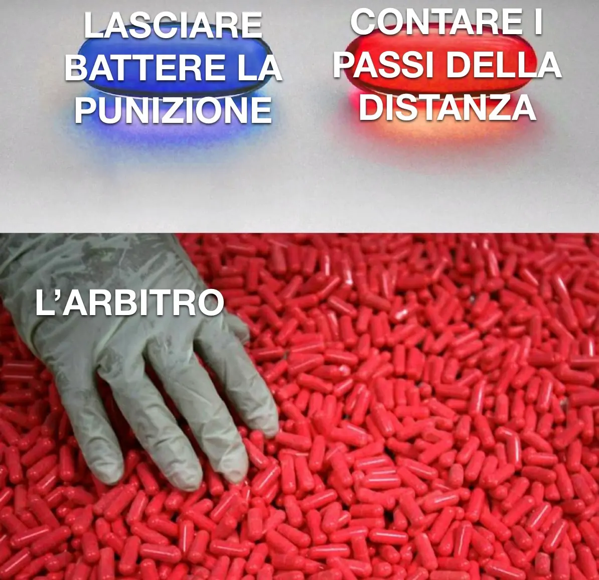 Meme Mezzatorre 42